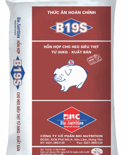 B19S – HH CHO HEO SIÊU THỊT TỪ 30KG ĐẾN XUẤT BÁN