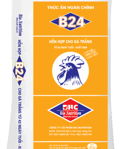 B24 – HH CHO GÀ TRẮNG TỪ 43 NGÀY TUỔI ĐẾN XUẤT BÁN