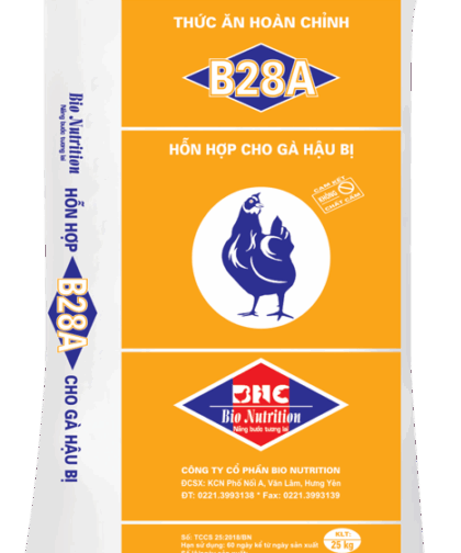 B28A – HỖN HỢP CHO GÀ HẬU BỊ