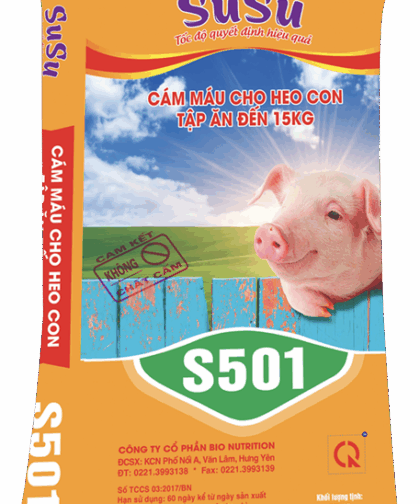 S501 - HH CÁM MÁU CHO HEO TẬP ĂN ĐẾN 15KG