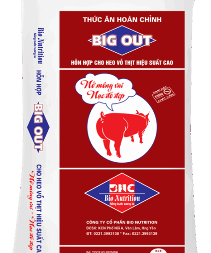 BIG OUT -  HH CHO HEO VỖ THỊT HIỆU SUẤT CAO