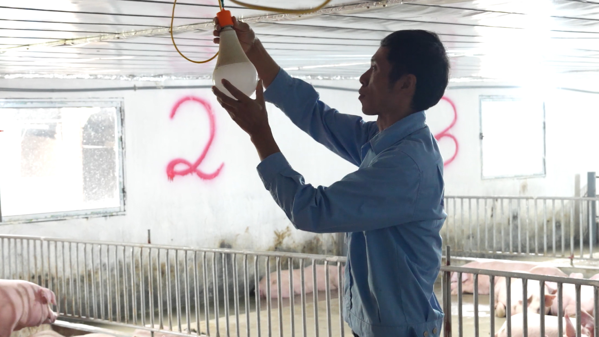 Trai_Huong