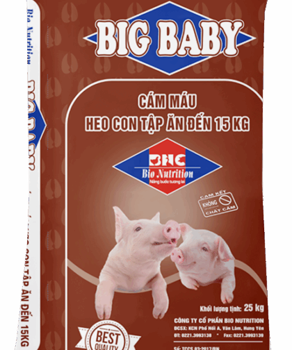 BIG BABY – CÁM MÁU CHO HEO CON TẬP ĂN ĐẾN 15KG
