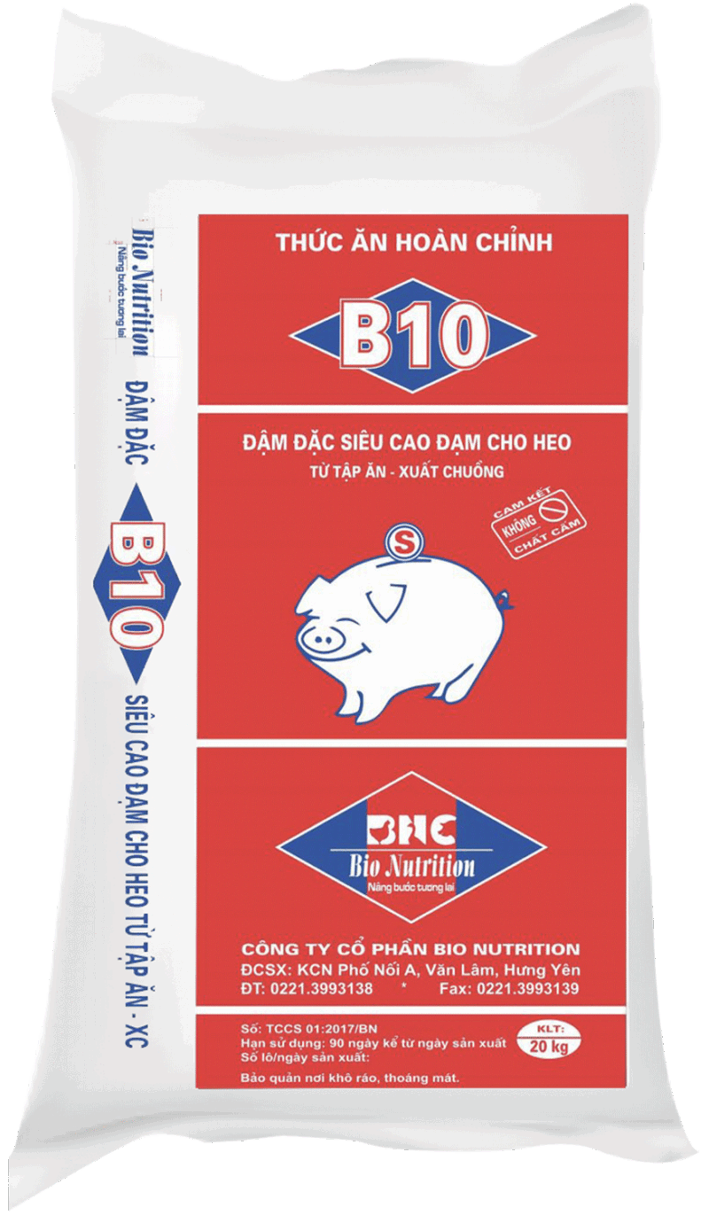 B10 - HH ĐẬM ĐẶC SIÊU CAO CHO HEO TỪ TẬP ĂN ĐẾN XUẤT CHUỒNG