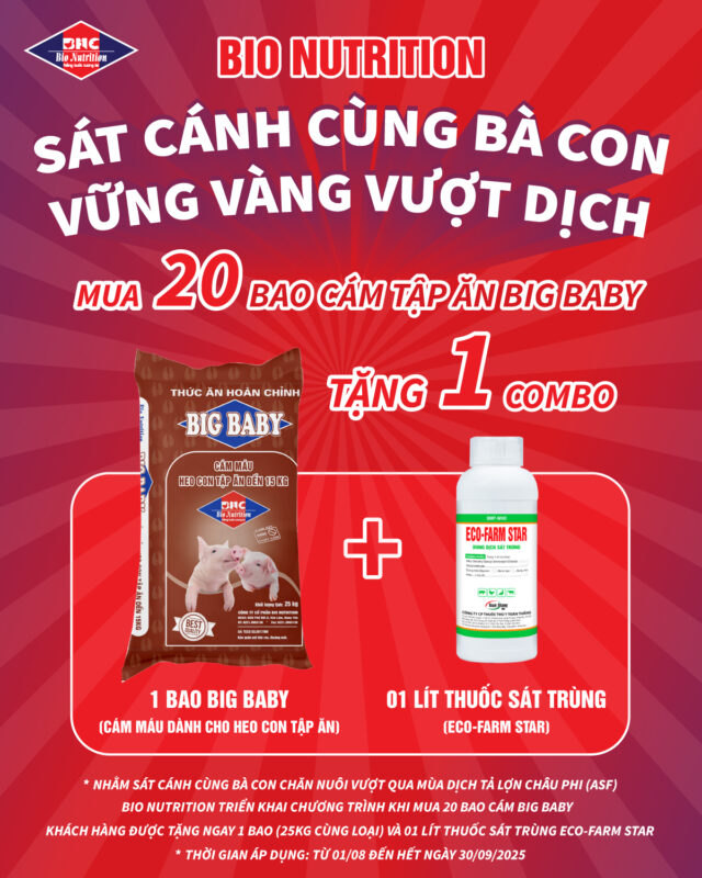 Khuyến mãi combo: 1 bao big baby + 1 lít thuốc sát trùng