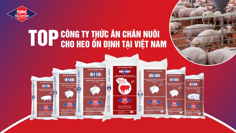 TOP CÔNG TY THỨC ĂN CHĂN NUÔI CHO HEO ỔN ĐỊNH TẠI VIỆT NAM