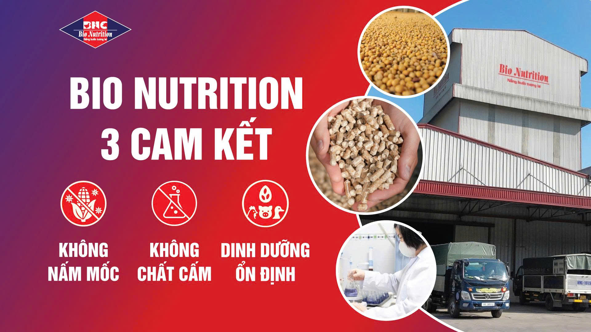 BIO NUTRITION 3 CAM KẾT “KHÔNG NẤM MỐC –  KHÔNG CHẤT CẤM – DINH DƯỠNG ỔN ĐỊNH”