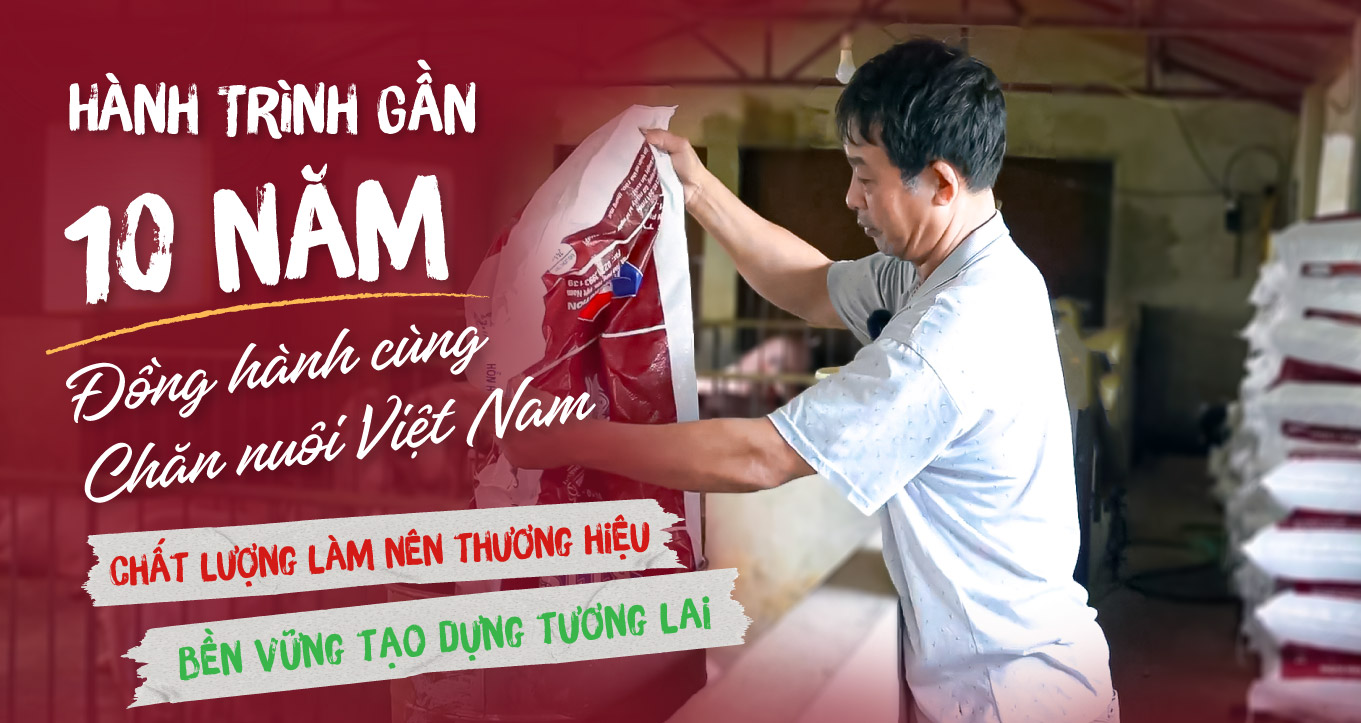 Đánh giá chất lượng cám của Bio Nutrition – Cảm nhận thực tế từ nhiều hộ chăn nuôi