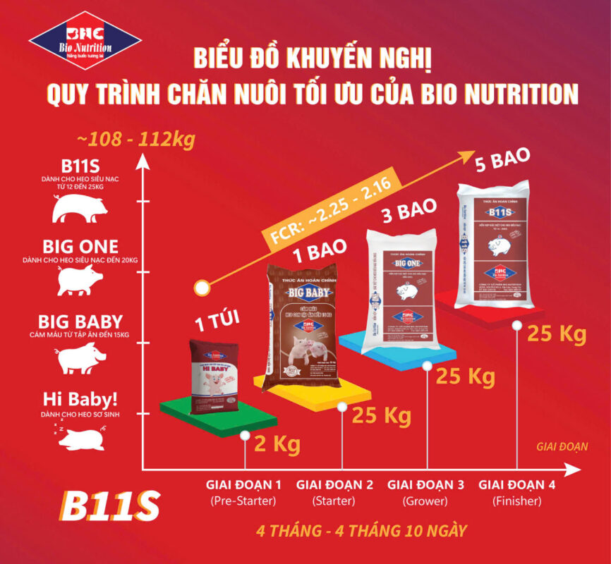 Quy trình chăn nuôi Bio Nutrition - sản phẩm B11S
