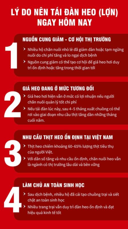 Lý do nên tái đàn heo Bio Nutrition